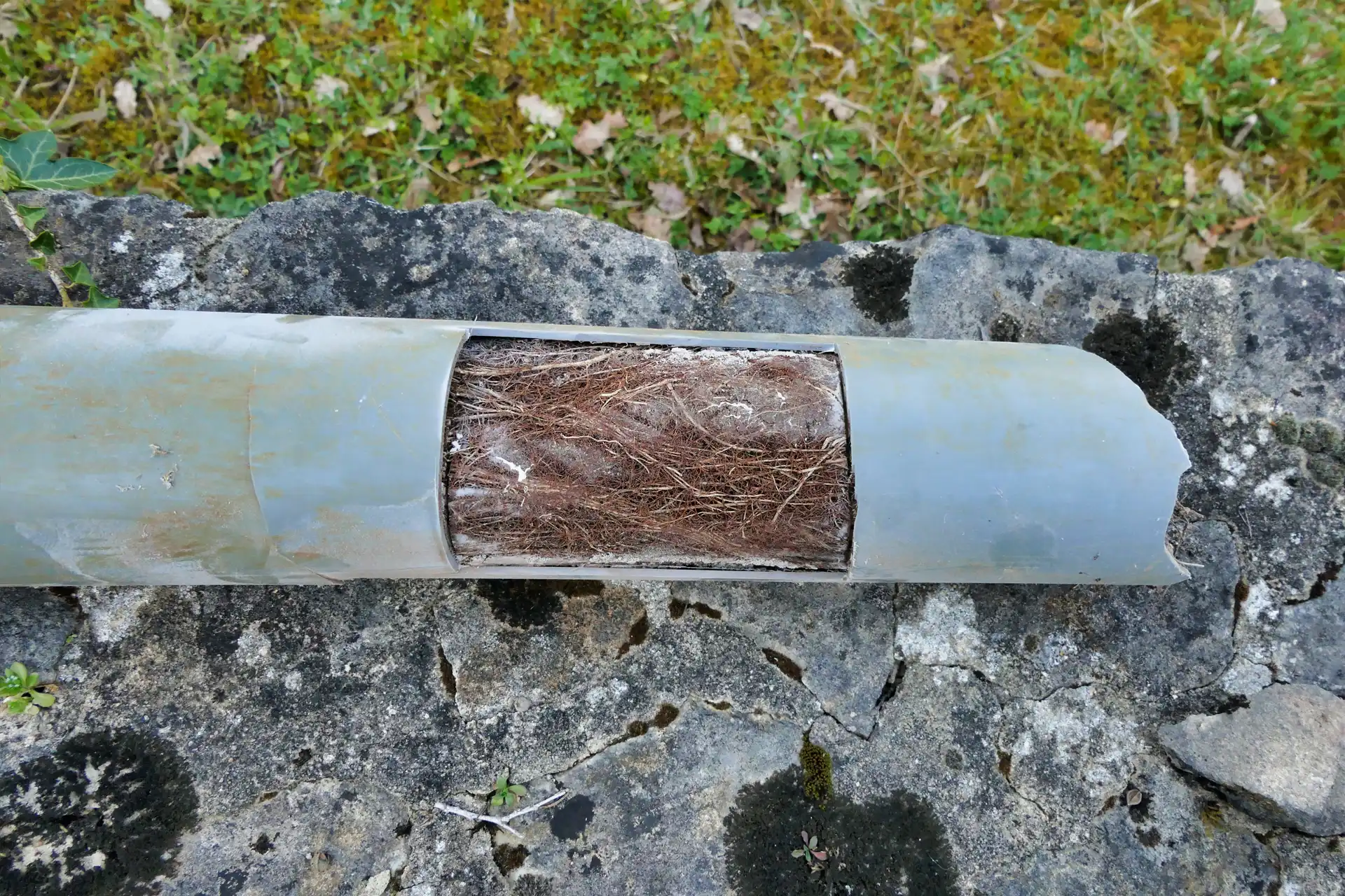 hydrajetting can remove roots in your drains